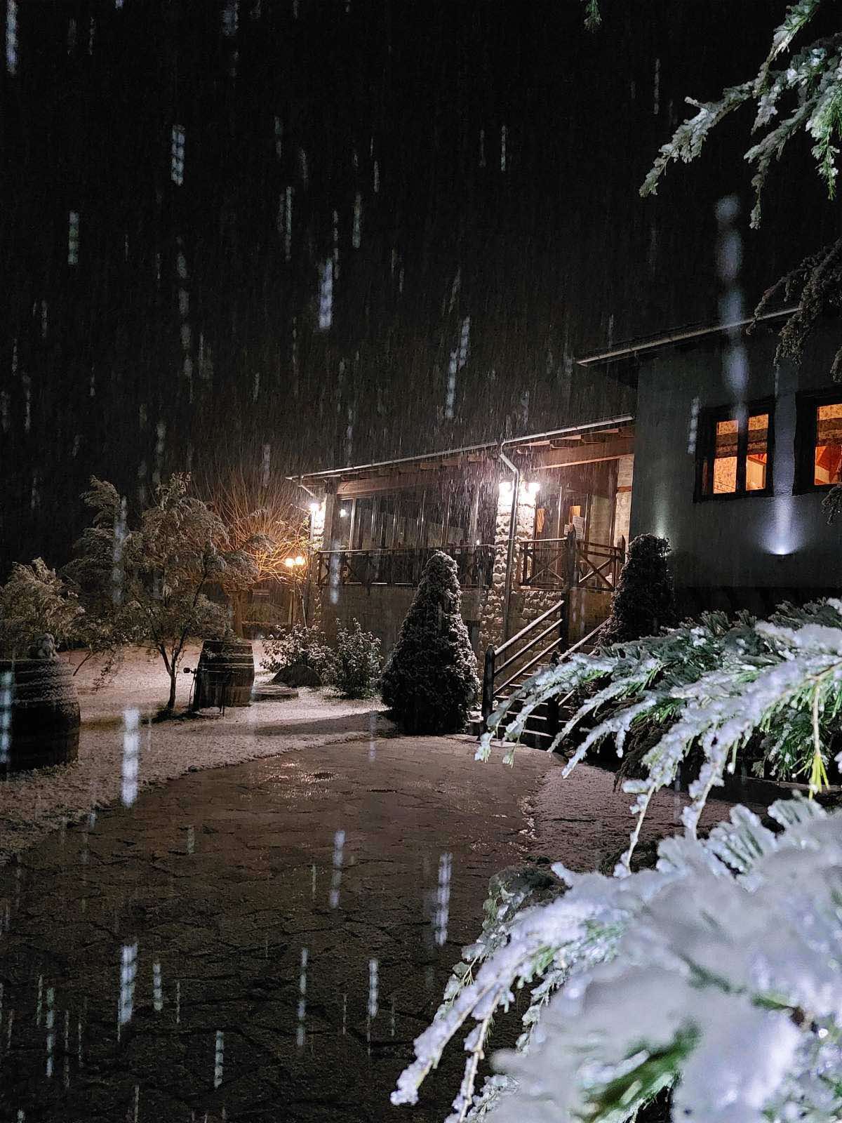 Γωνιά του χώρου εστίασης στο Εκείμερος